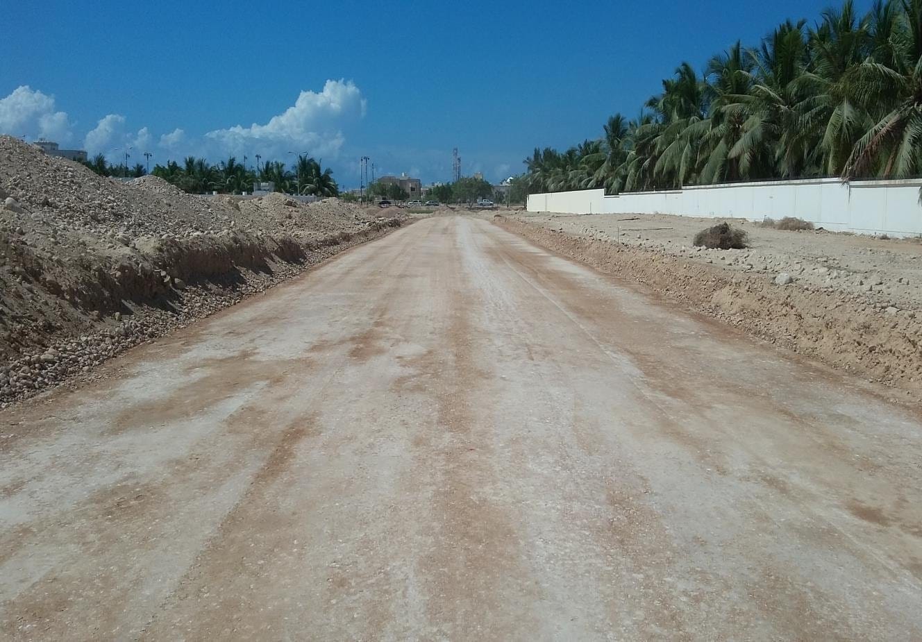 Graded formation along a palm-lined plot